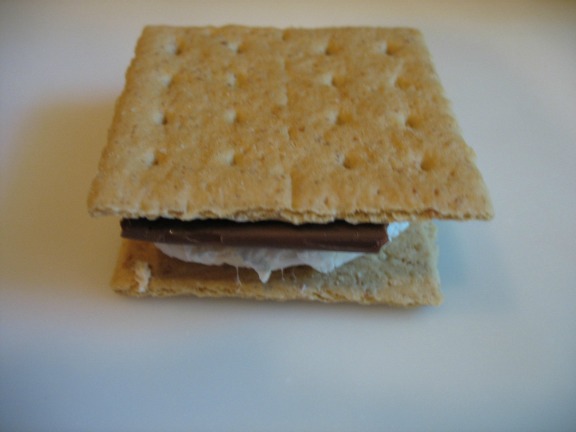 Happy National S’mores Day! Smore2
