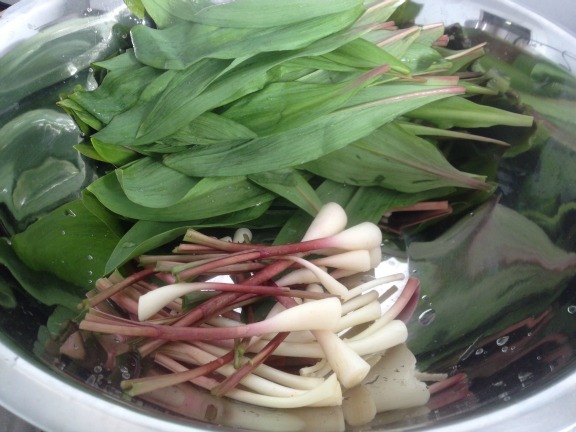 Ramps In A Bowl