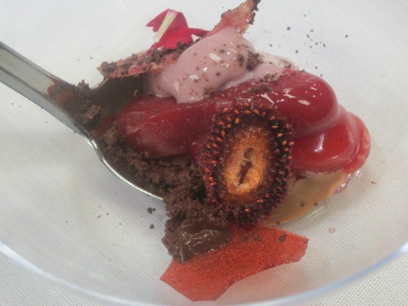 Jimmy MacMillan Barolo Nebbiolo Ices With Freeze Dried Berries A Raspberry Chip