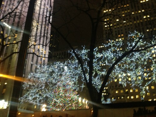 A Holiday Gift List: Chef Version Rock Center Tree