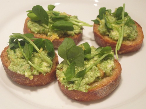 Crostini With Ramp Ricotta Pesto
