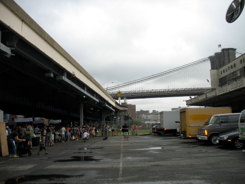 Fulton Fish Market NAM