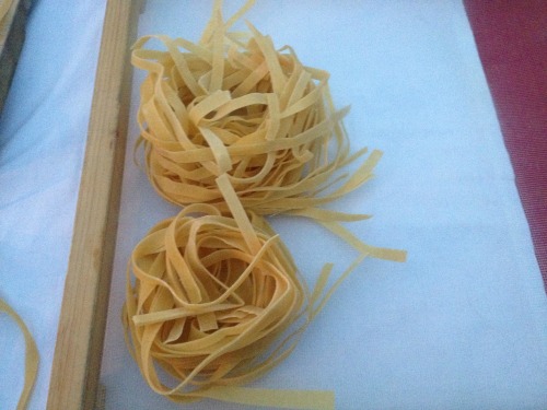 Nests Of Pasta